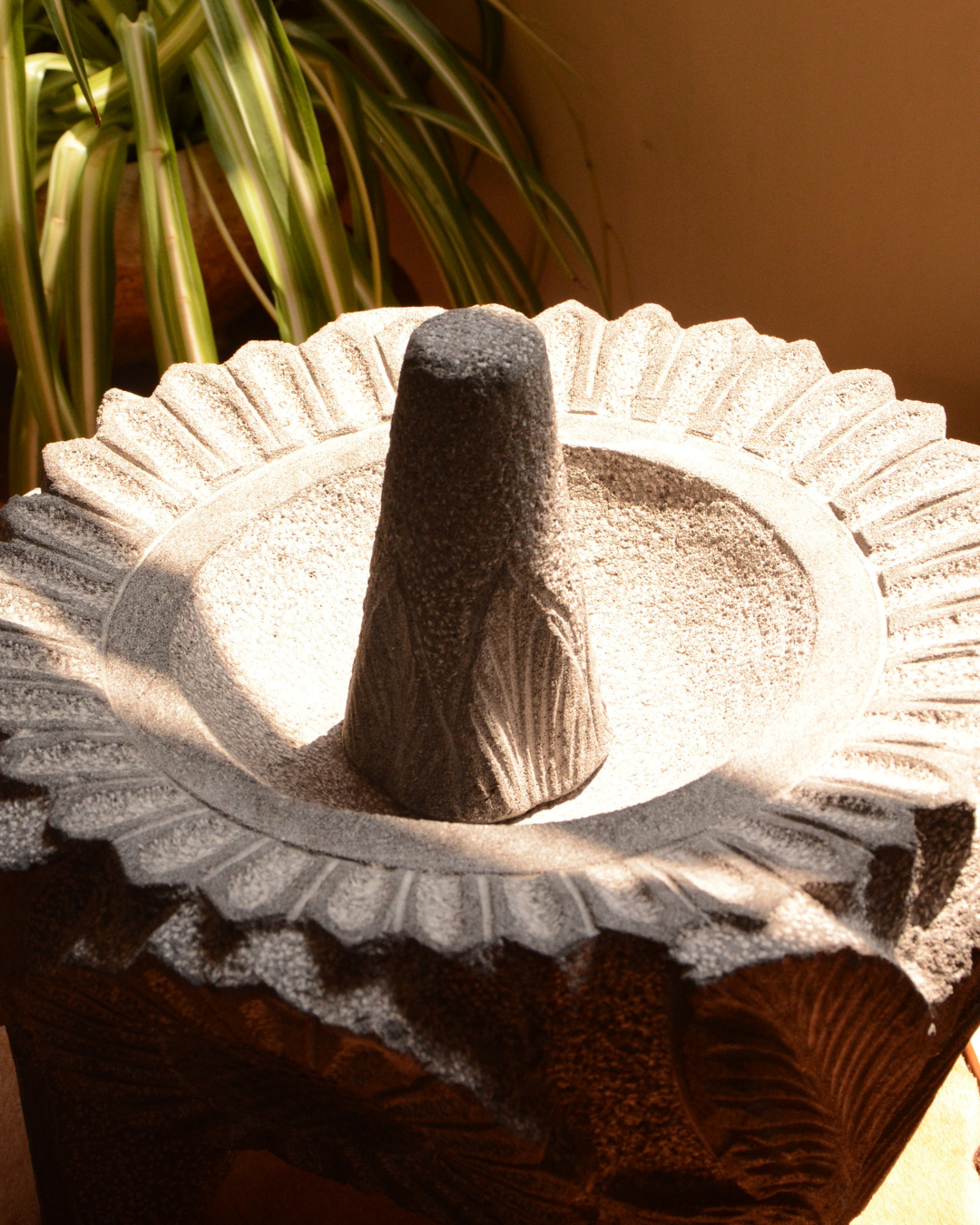 Molcajete Girasol.