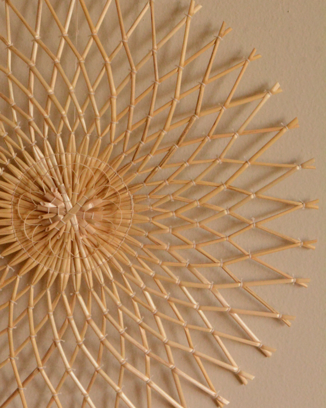 Popotillo Estella 30 cm